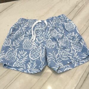Chubbies Swim Trunks- Blue Pineapple Print- Lined Size Small